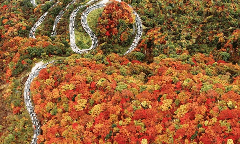 M&ugrave;a thu Nhật Bản